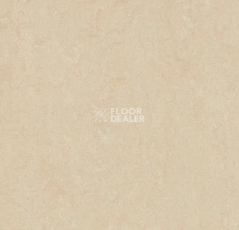 Линолеум Forbo Marmoleum Decibel on Order 386135 Arabian pearl фото 1 | FLOORDEALER